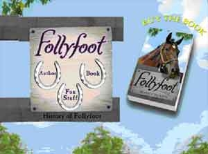 Visit the Follyfoot website (pictured)