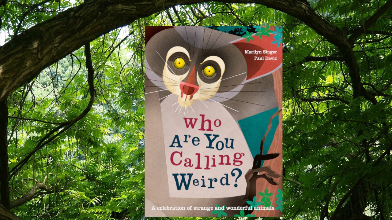 Which Weird and Wonderful Creature is Your Favourite? 