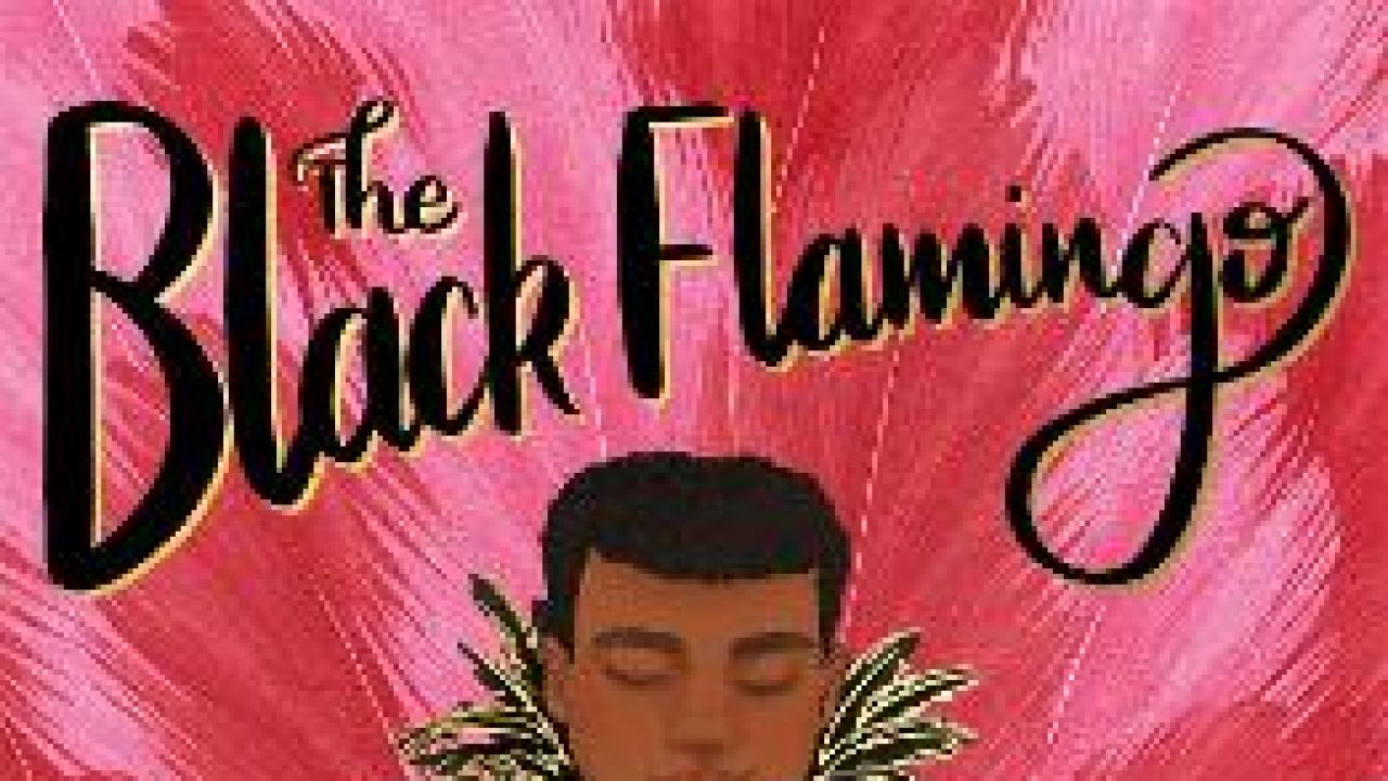 Teaching Resources for The Black Flamingo by Dean Atta