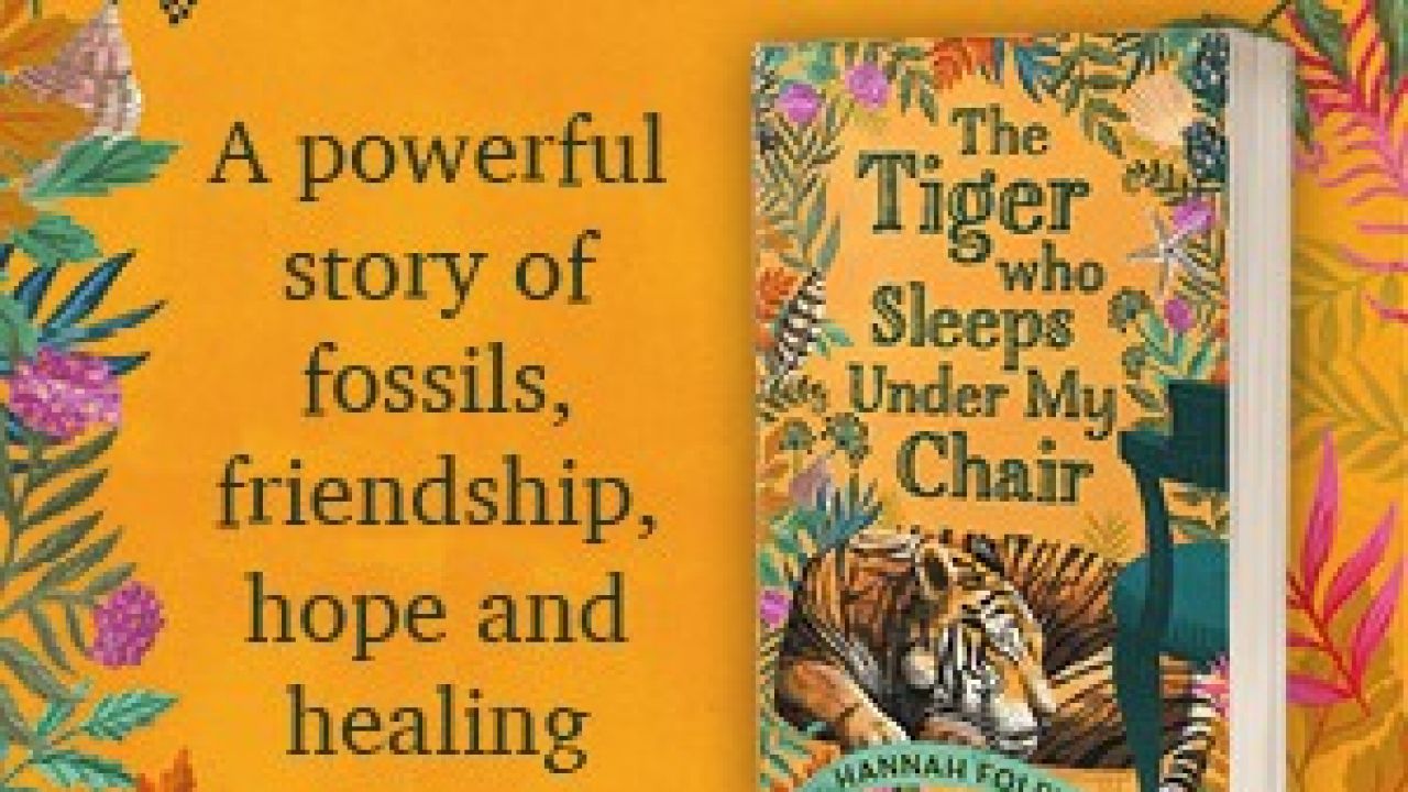The Tiger Who Sleeps Under My Chair Teacher Resources