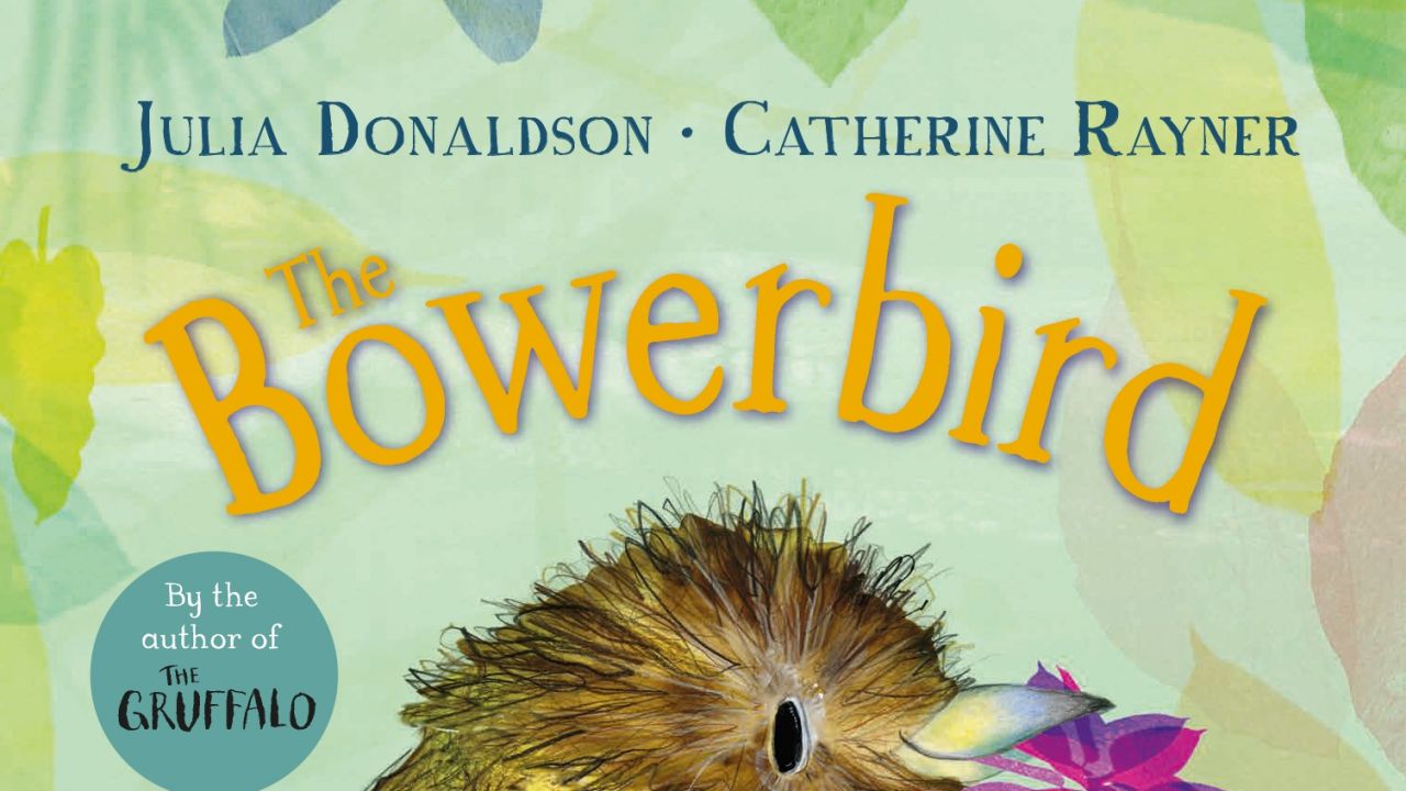 The Bowerbird by Julia Donaldson Activity Pack