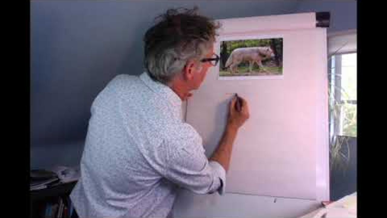 Learn how to draw animals with Martin Brown!